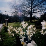 1013. Glasshouses, Nidderdale