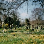 1313. The Cemetery, Holy Trinity Church, Dacre Banks, Nidderdale