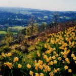 1513. Bewerley, Nidderdale