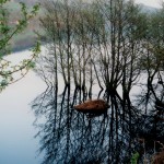 1813. Gouthwaite Reservoir, Nidderdale