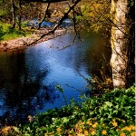 1913. River Nidd near Pateley Bridge, Nidderdale