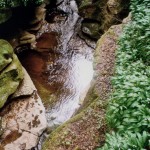 2213. How Stean Gorge, Nidderdale