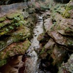 2313. How Stean Gorge, Nidderdale