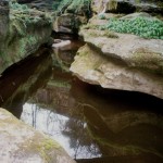 2413. How Stean Gorge, Nidderdale