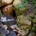 2613. How Stean Gorge, Nidderdale