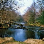 413. Great Langdale Beck, Chapel Stile, Langdale, Cumbria